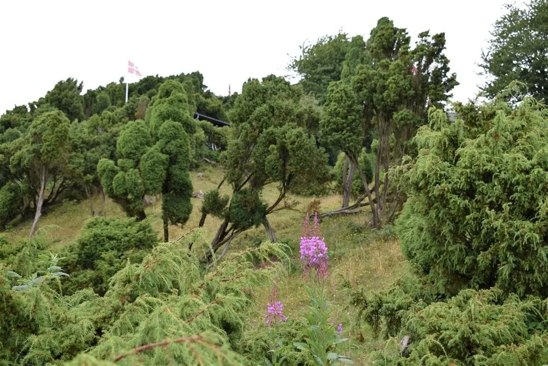 G21.5  bramslev bakker to hobro walk along mariager fjord (20)